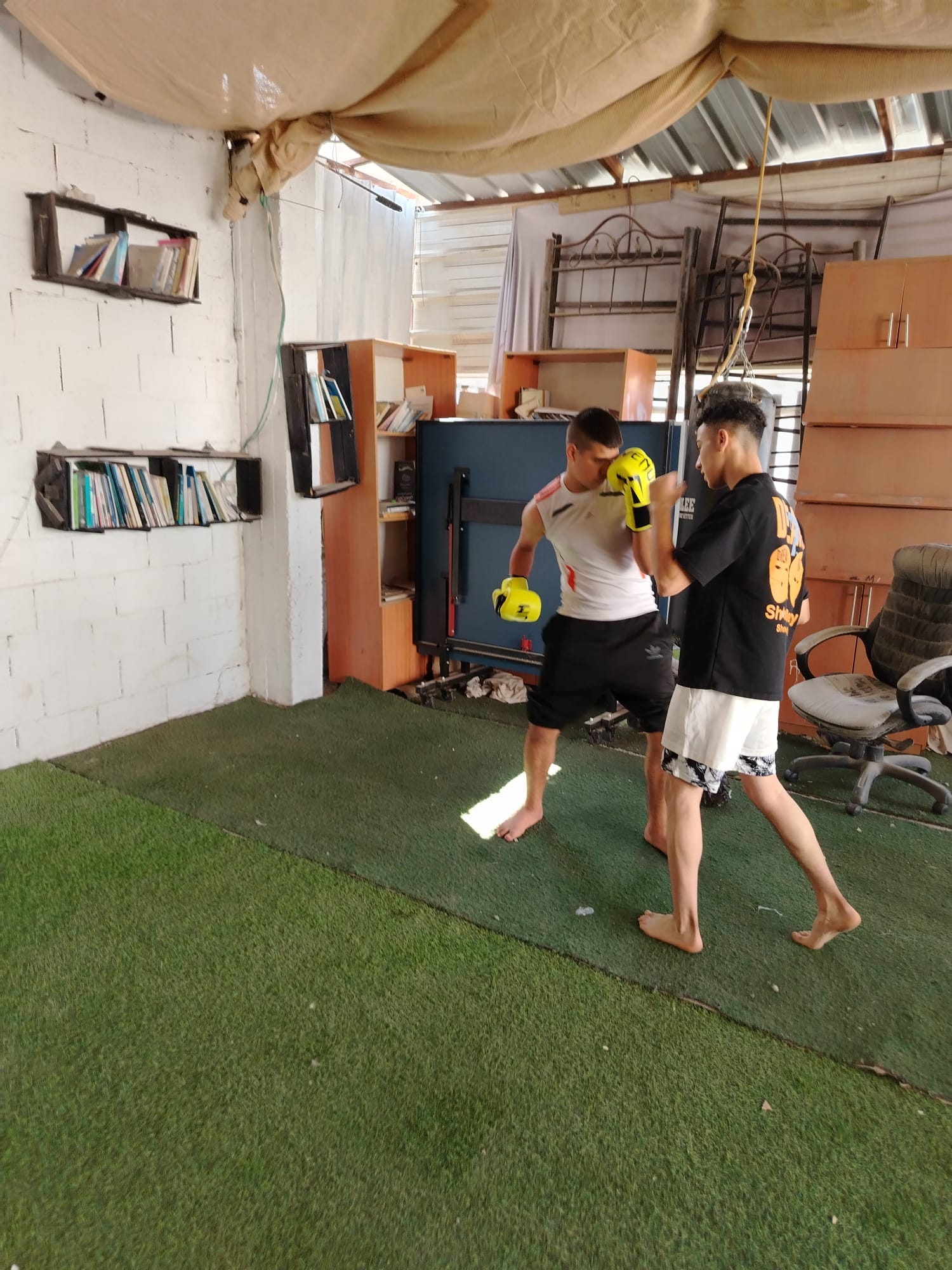Training Course in Boxing